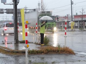 朝から冷たい雨でした