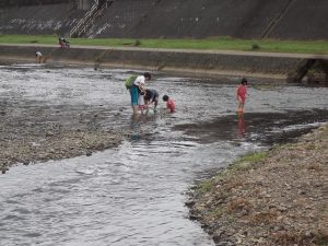 親子連れで、加茂川で水遊びをされてました。
