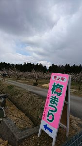 田上うめまつり