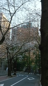DSC_1706