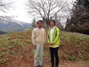 三条市下田地区 カタクリの花畑